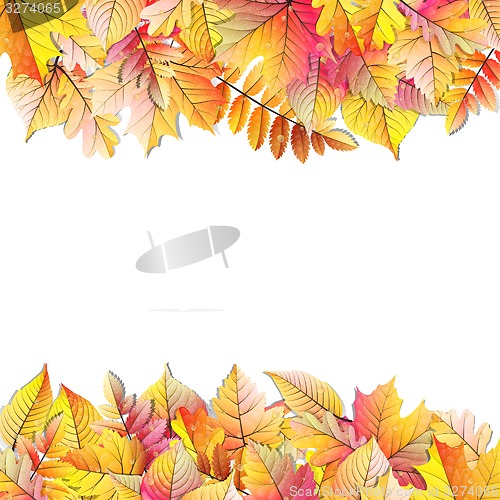 Image of Autumn frame with fall leaf. EPS 10