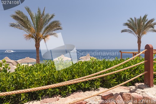 Image of Beach at the luxury hotel, Sharm el Sheikh, Egypt