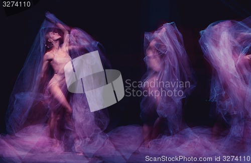 Image of photo as art - a sensual and emotional dance of beautiful ballerina through the veil 