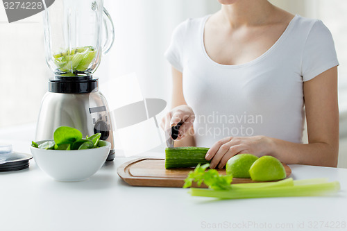 Image of close up of woman with blender chopping vegetables