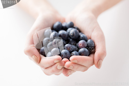 Image of close up of woman hands holding blueberries