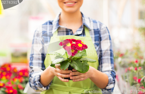 Image of close up of woman holding flowers in greenhouse