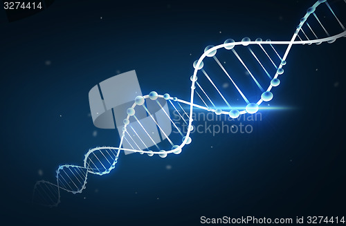 Image of dna molecule structure