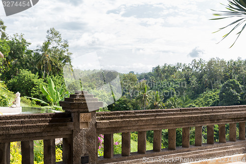 Image of view from balcony to tropical woods at hotel