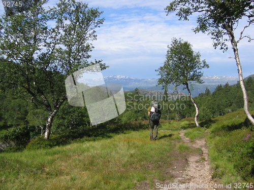 Image of Backpacker tracking in nature