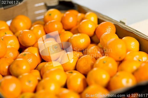 Image of ripe mandarins at food market or farm