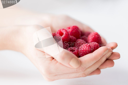 Image of close up of woman hands holding raspberries
