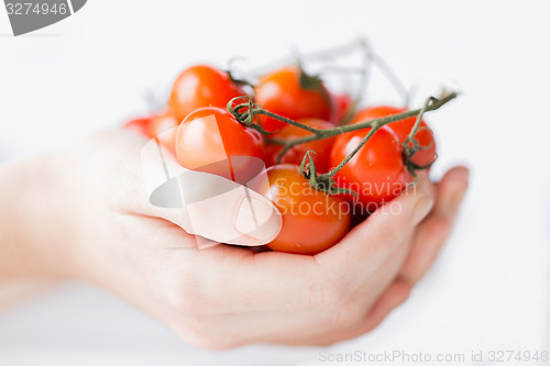 Image of close up of woman hands holding cherry tomatoes