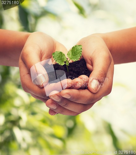 Image of woman hands holding plant in soil