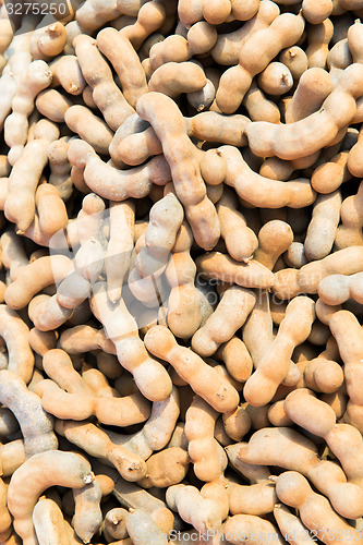 Image of peanuts texture