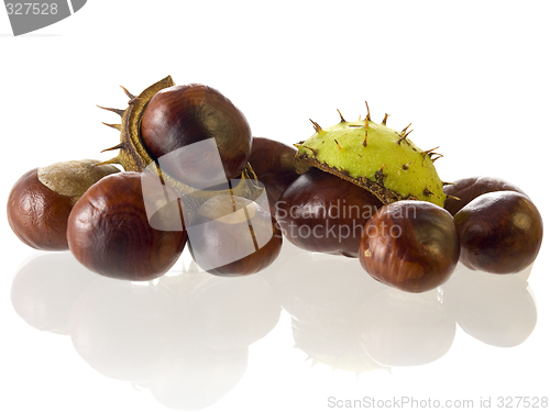 Image of chestnut