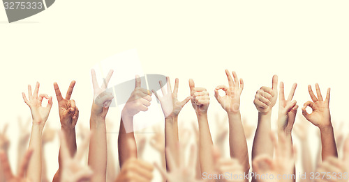 Image of human hands showing thumbs up, ok and peace signs