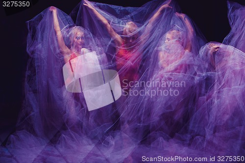 Image of sensual and emotional dance of beautiful ballerina through the veil 