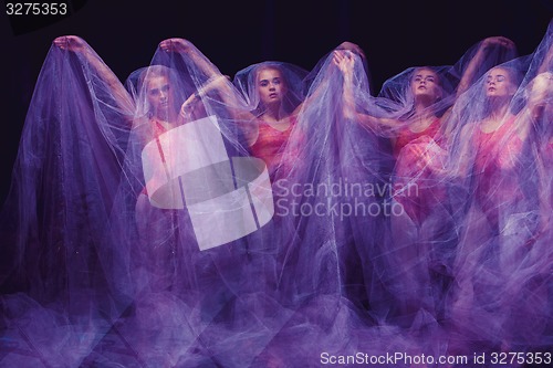 Image of photo as art - a sensual and emotional dance of beautiful ballerina through the veil 