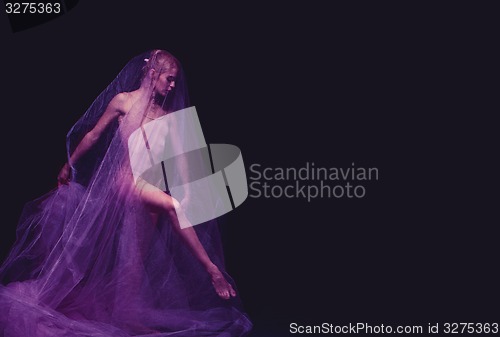 Image of photo as art - a sensual and emotional dance of beautiful ballerina through the veil 