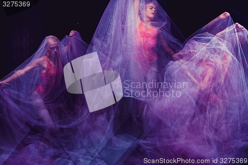 Image of sensual and emotional dance of beautiful ballerina through the veil 