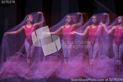 Image of sensual and emotional dance of beautiful ballerina through the veil 