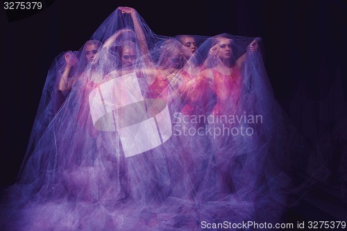 Image of sensual and emotional dance of beautiful ballerina through the veil 