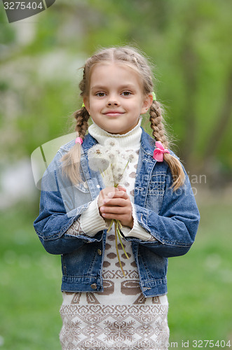 Image of Six year old girl with dandelions