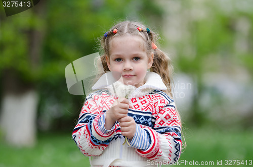 Image of Portrait four-year girl with bouquet white dandelions in the hands of