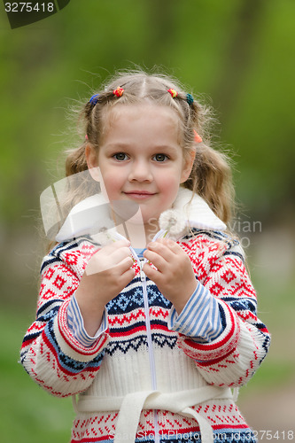 Image of Portrait of a Girl with dandelions in hands