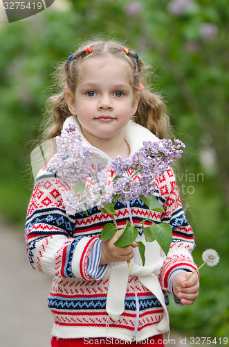 Image of Portrait of girl with lilacs and dandelions in the hands