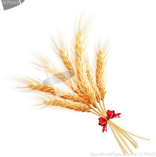 Image of Bunch of wheat on white background. EPS 10