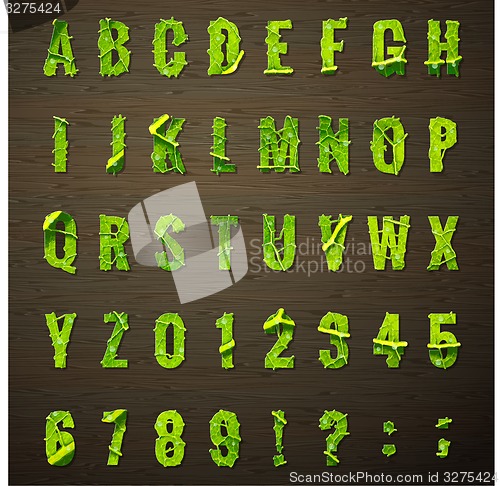 Image of Letters lettuce leaf. EPS 10