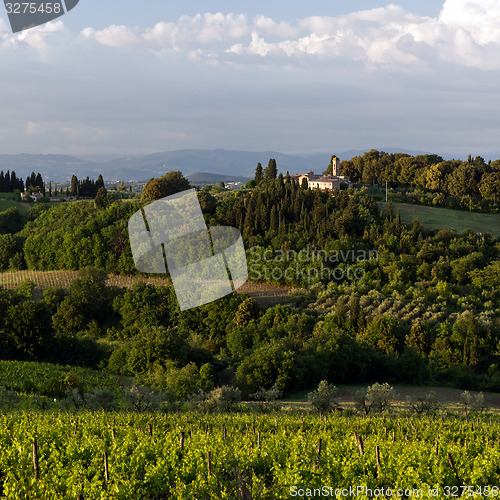 Image of Evening landscape. Tuscany, Italy