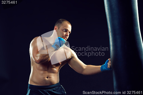 Image of Young Boxer boxing 