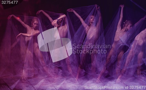 Image of sensual and emotional dance of beautiful ballerina through the veil 