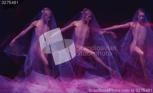 Image of sensual and emotional dance of beautiful ballerina through the veil 