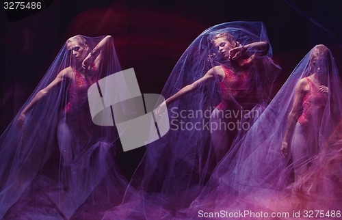 Image of sensual and emotional dance of beautiful ballerina through the veil 