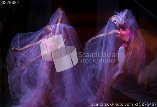 Image of sensual and emotional dance of beautiful ballerina through the veil 