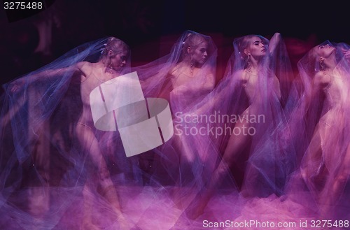 Image of sensual and emotional dance of beautiful ballerina through the veil 