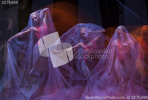 Image of sensual and emotional dance of beautiful ballerina through the veil 