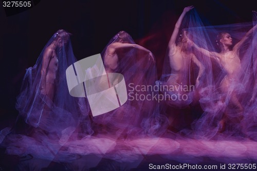 Image of sensual and emotional dance of beautiful ballerina through the veil 