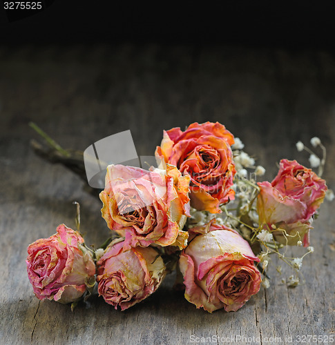 Image of Dried rose 