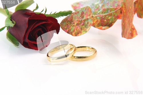 Image of red rose and rings