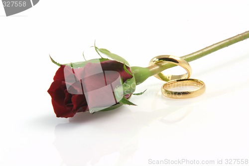 Image of rose and rings