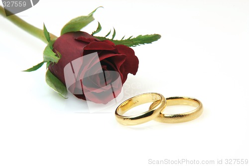 Image of gold rings and rose