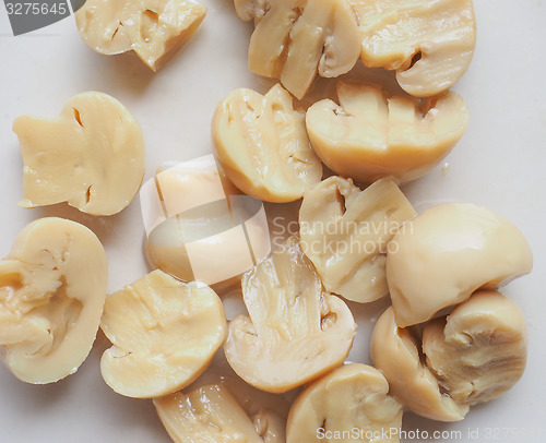 Image of Champignon mushroom dish