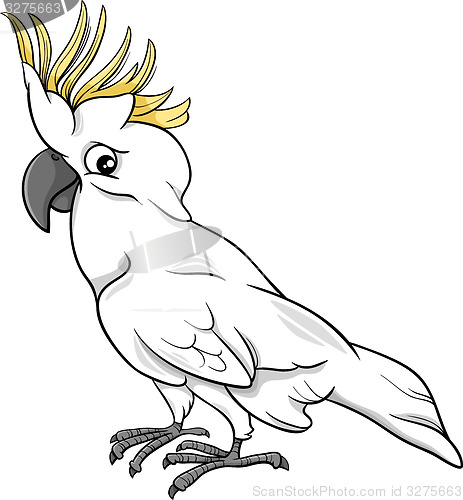 Image of cockatoo parrot cartoon illustration