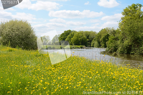 Image of River flowing through a meadow