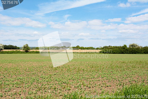 Image of Farmland with agricultural buildings beyond