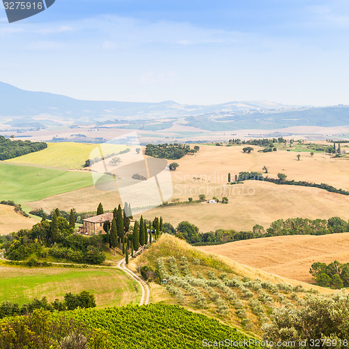 Image of Countryside in Tuscany