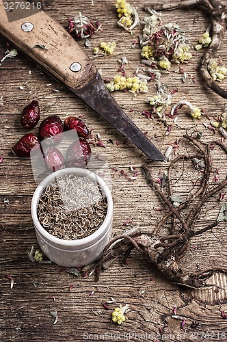 Image of medicinal herbs and roots