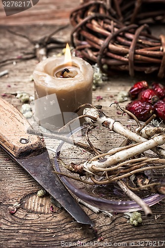 Image of medicinal herbs and roots