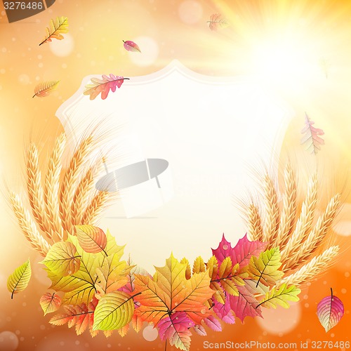 Image of Autumn background with colorful leaves. EPS 10