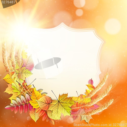 Image of Autumn background with colorful leaves. EPS 10